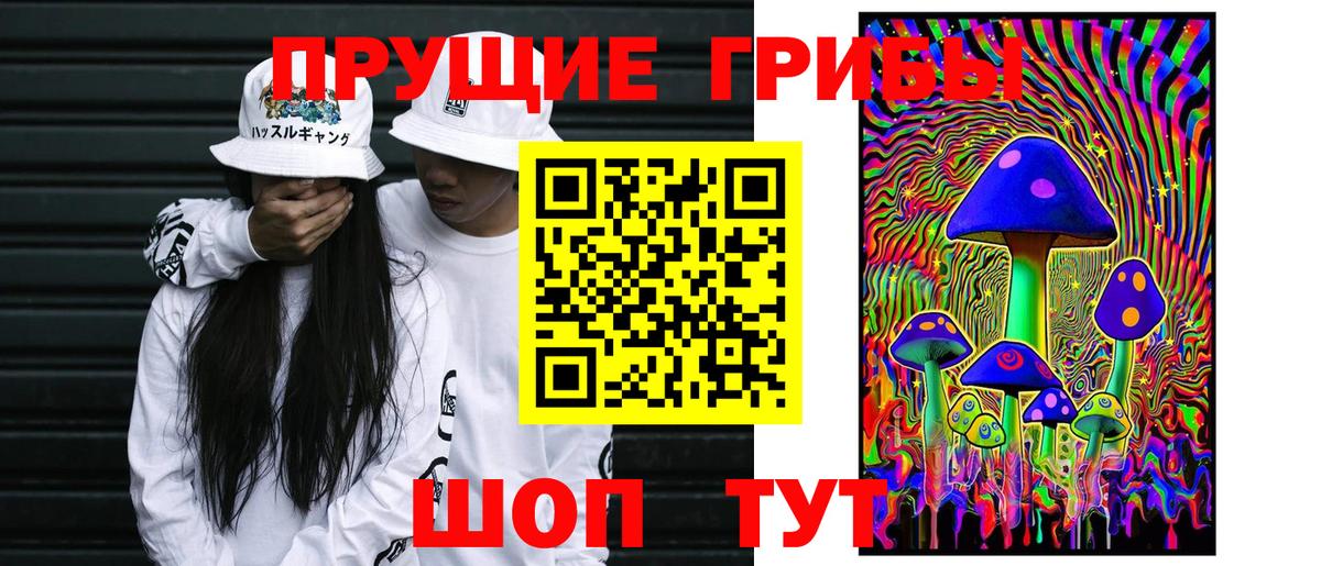 Псилоцибиновые грибы прущие грибы  Вход с VPN  хочу   Калининград 