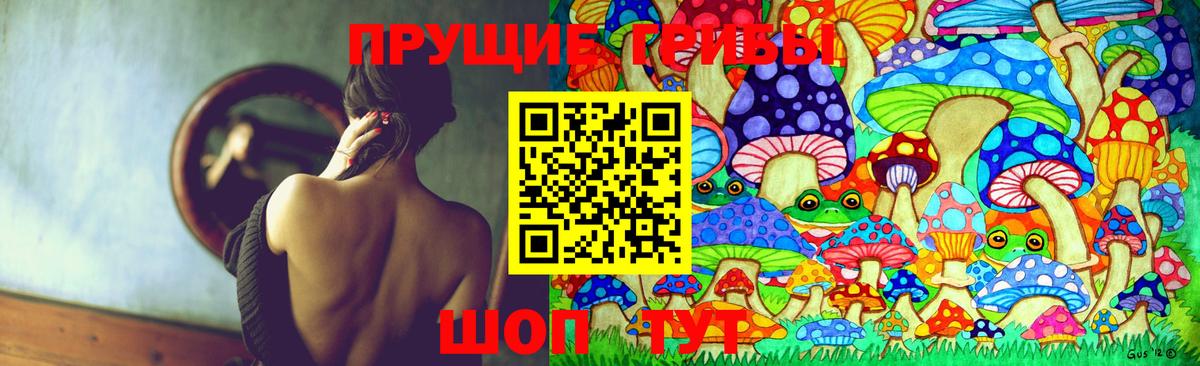 Псилоцибиновые грибы Psilocybe Калининград